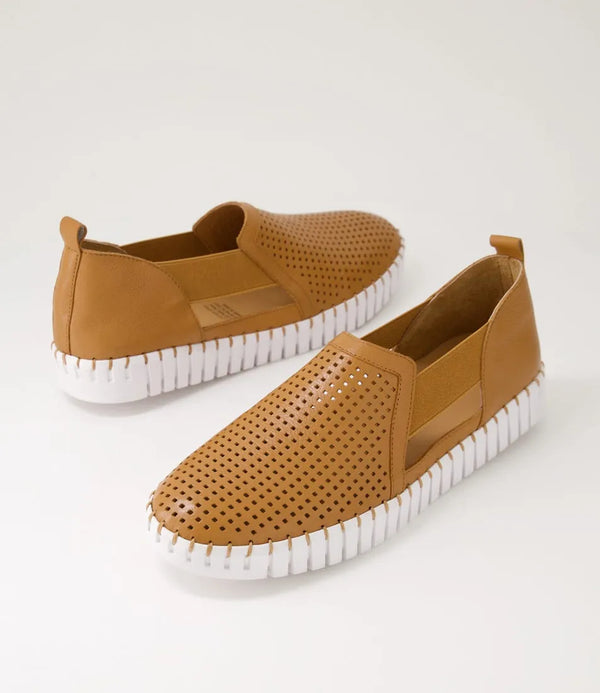 Habiki Dark Tan