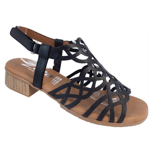Hilite Black