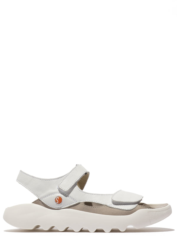 Wial White